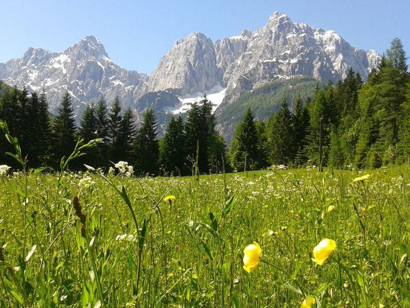 Apartamento House Neza Kranjska Gora Exterior foto